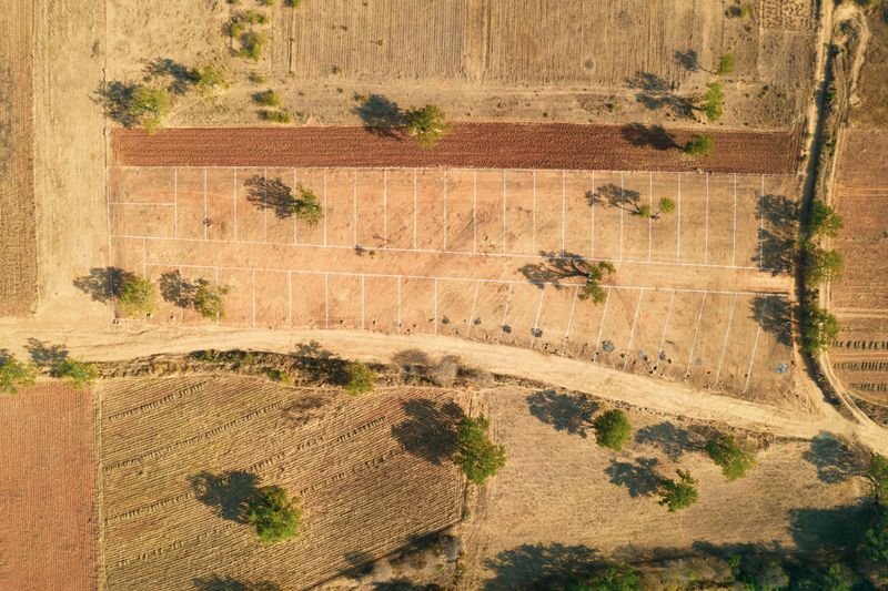An unseen plot of land in Nigeria